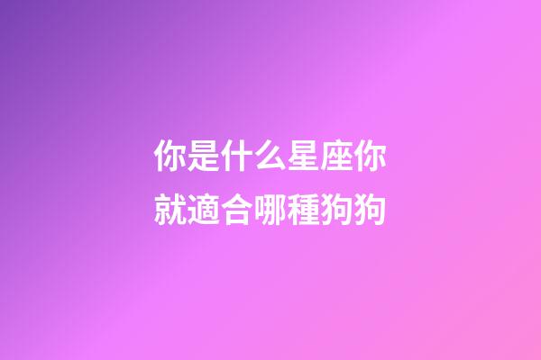 你是什么星座你就適合哪種狗狗-第1張-星座運勢-玄機派