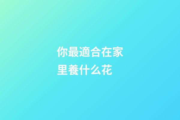 你最適合在家里養什么花