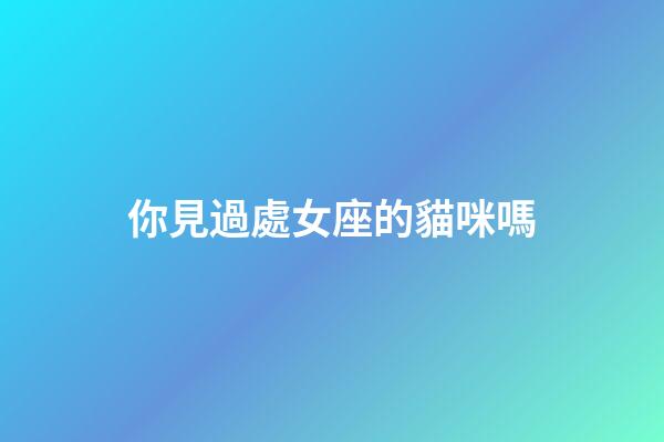 你見過處女座的貓咪嗎-第1張-星座運勢-玄機派