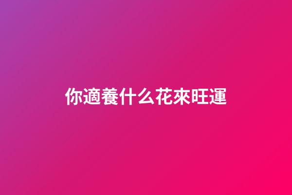 你適養什么花來旺運