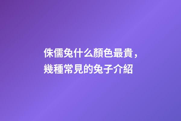 侏儒兔什么顏色最貴，幾種常見的兔子介紹