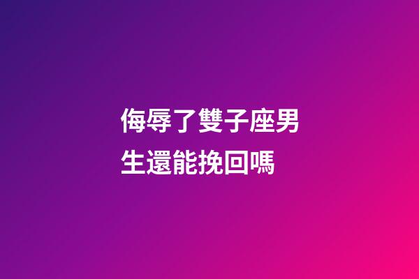 侮辱了雙子座男生還能挽回嗎-第1張-星座運勢-玄機派