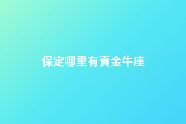 保定哪里有賣金牛座