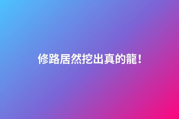 修路居然挖出真的龍！