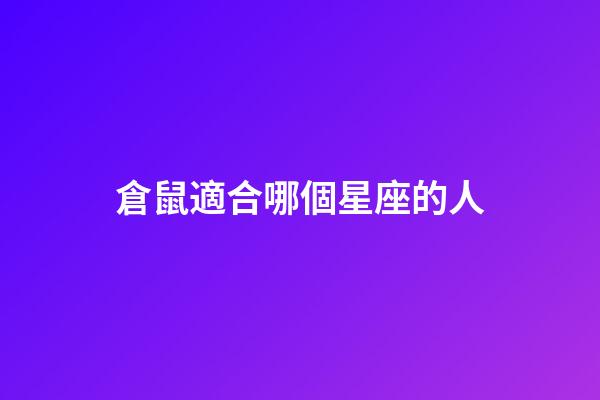 倉鼠適合哪個星座的人-第1張-星座運勢-玄機派
