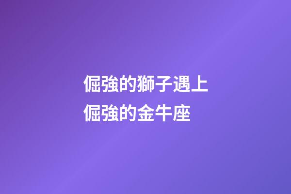 倔強的獅子遇上倔強的金牛座-第1張-星座運勢-玄機派