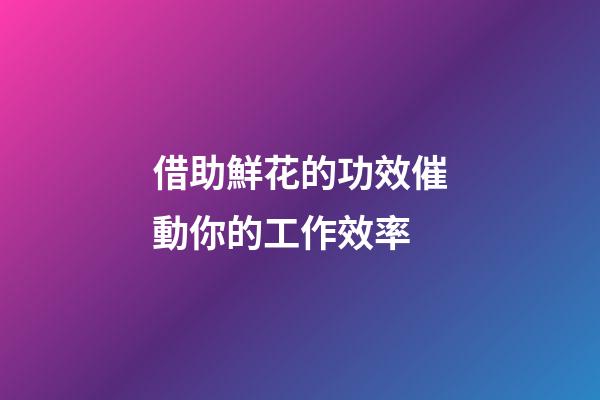 借助鮮花的功效催動你的工作效率