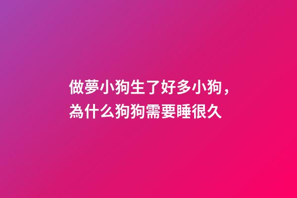 做夢小狗生了好多小狗，為什么狗狗需要睡很久-第1張-觀點-玄機派
