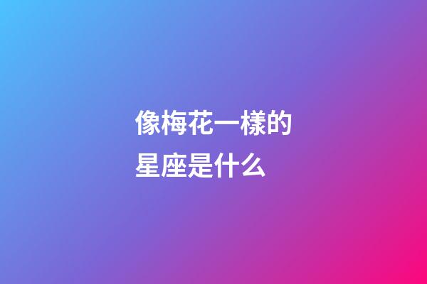 像梅花一樣的星座是什么-第1張-星座運(yùn)勢(shì)-玄機(jī)派