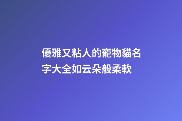 優雅又粘人的寵物貓名字大全如云朵般柔軟