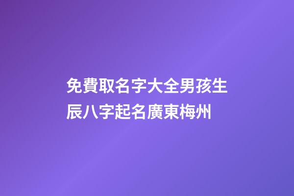 免費取名字大全男孩生辰八字起名廣東梅州(梅州寶寶起名)
