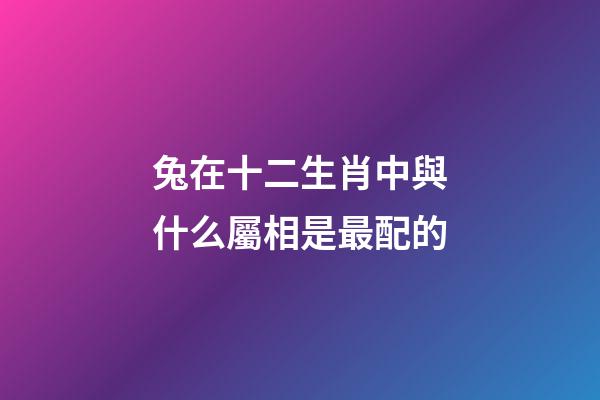兔在十二生肖中與什么屬相是最配的