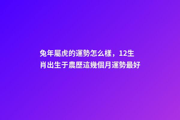 兔年屬虎的運勢怎么樣，12生肖出生于農歷這幾個月運勢最好(一)-第1張-觀點-玄機派