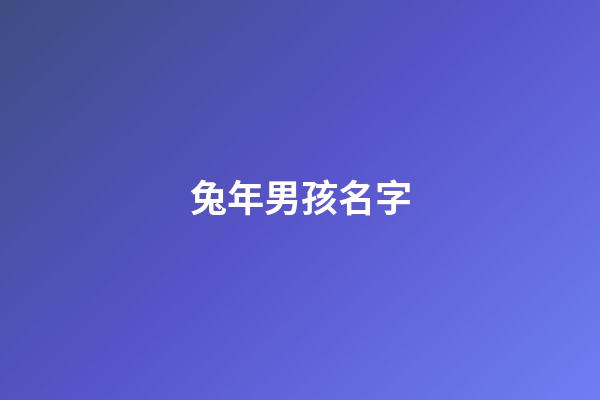 兔年男孩名字(兔年男孩名字大全)-第1張-男孩起名-玄機派