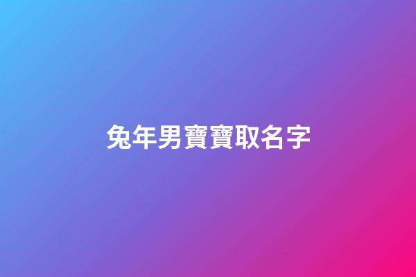 兔年男寶寶取名字(2023年最旺男孩名字)-第1張-男孩起名-玄機派