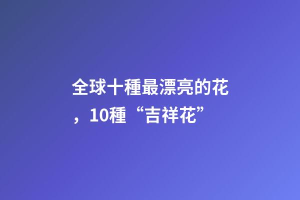 全球十種最漂亮的花，10種“吉祥花”-第1張-觀點(diǎn)-玄機(jī)派