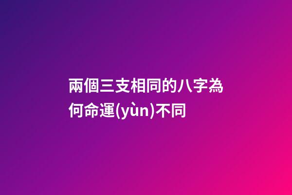 兩個三支相同的八字為何命運(yùn)不同