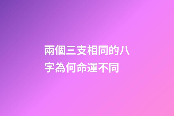 兩個三支相同的八字為何命運不同