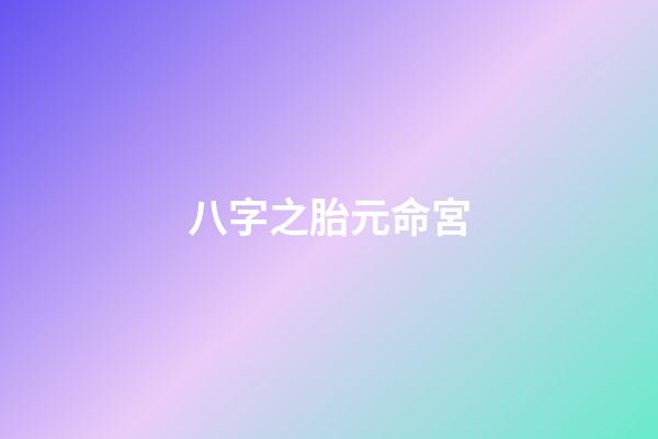 八字之胎元命宮