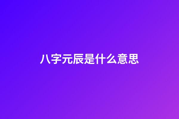 八字元辰是什么意思