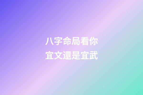 八字命局看你宜文還是宜武