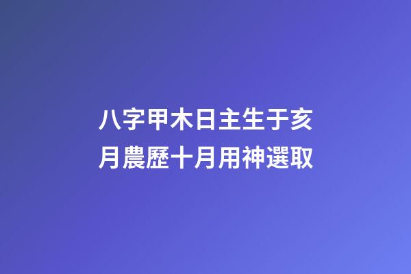八字甲木日主生于亥月農歷十月用神選取