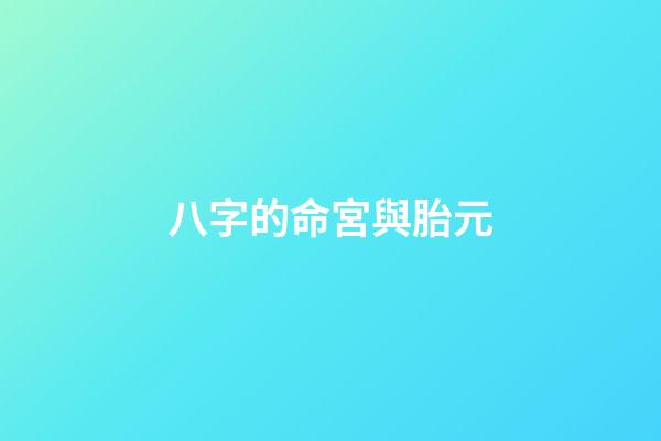 八字的命宮與胎元