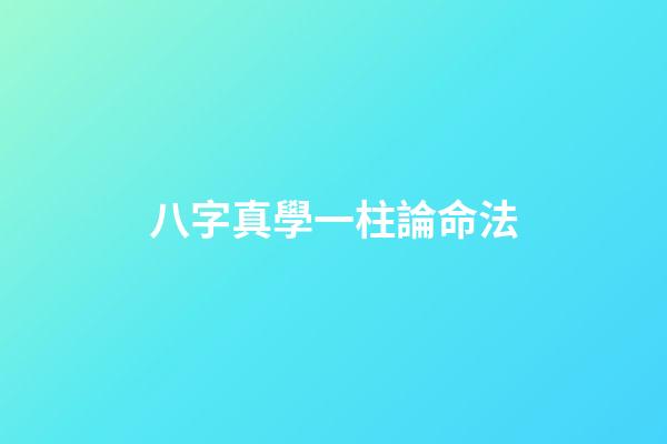 八字真學一柱論命法
