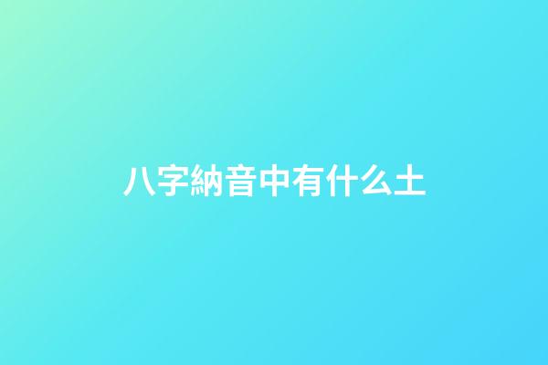 八字納音中有什么土