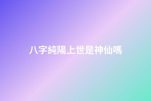 八字純陽上世是神仙嗎