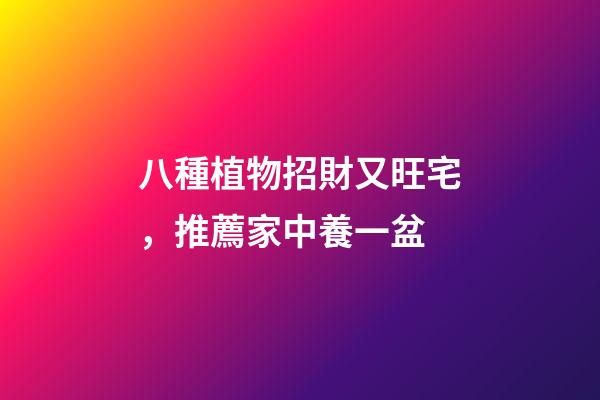 八種植物招財又旺宅，推薦家中養一盆