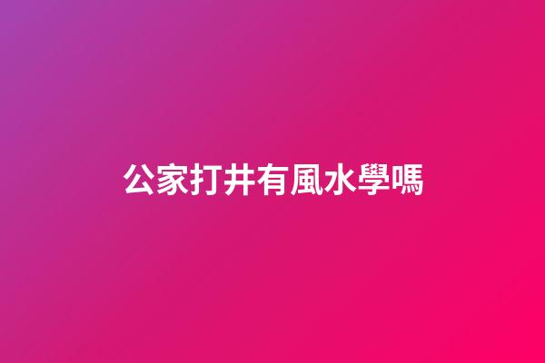 公家打井有風水學嗎