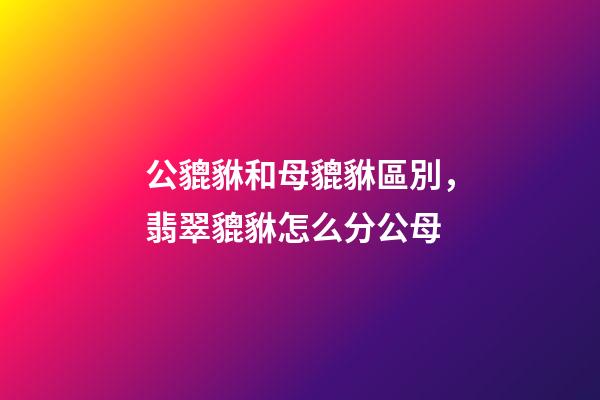 公貔貅和母貔貅區別，翡翠貔貅怎么分公母-第1張-觀點-玄機派