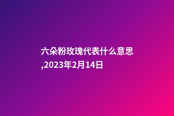 六朵粉玫瑰代表什么意思,2023年2月14日-第1張-觀點-玄機派