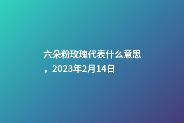 六朵粉玫瑰代表什么意思，2023年2月14日-第1張-觀點-玄機派