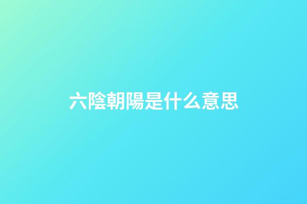 六陰朝陽是什么意思