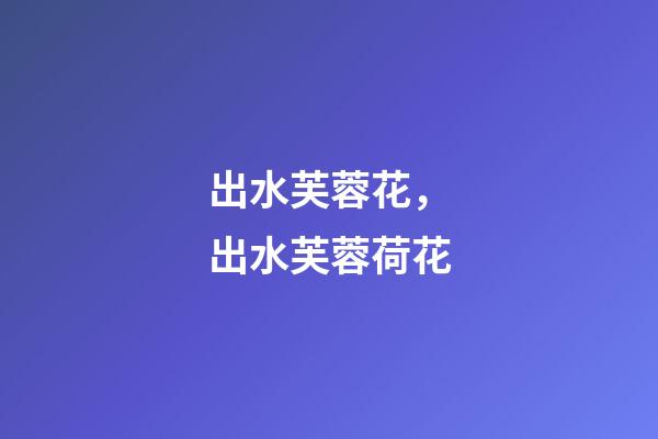 出水芙蓉花，出水芙蓉荷花