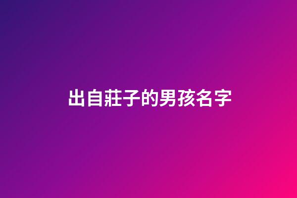 出自莊子的男孩名字(莊子里好聽的男孩名字)