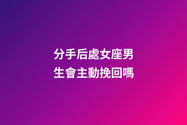 分手后處女座男生會主動挽回嗎-第1張-星座運勢-玄機派