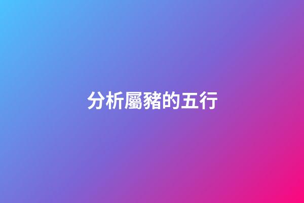 分析屬豬的五行