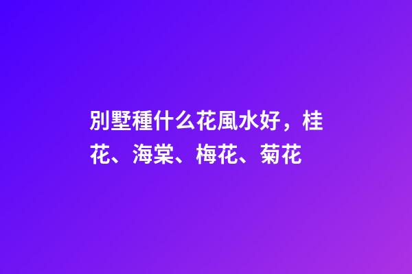 別墅種什么花風水好，桂花、海棠、梅花、菊花