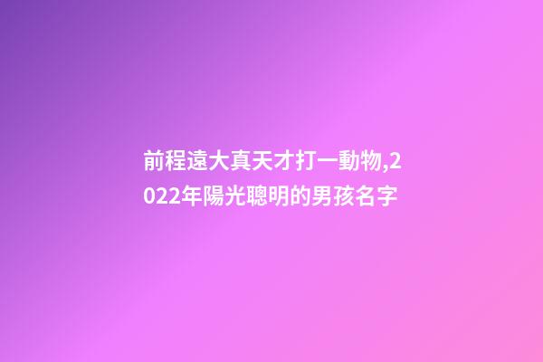 前程遠大真天才打一動物,2022年陽光聰明的男孩名字-第1張-觀點-玄機派