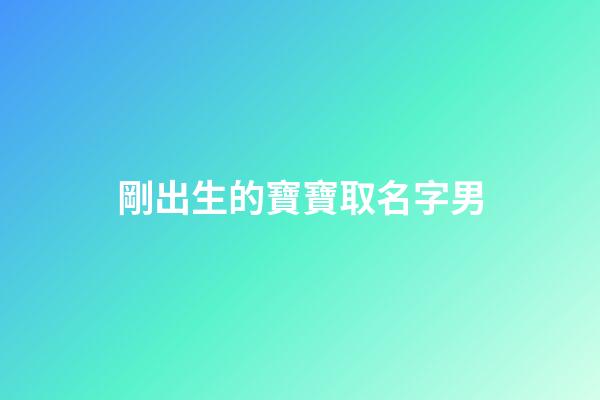 剛出生的寶寶取名字男(剛出生的男孩取什么名字好)-第1張-男孩起名-玄機派