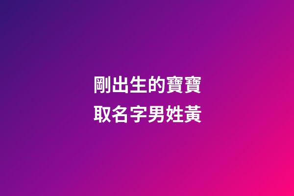 剛出生的寶寶取名字男姓黃(剛出生的寶寶取名字男姓黃怎么取)-第1張-男孩起名-玄機派