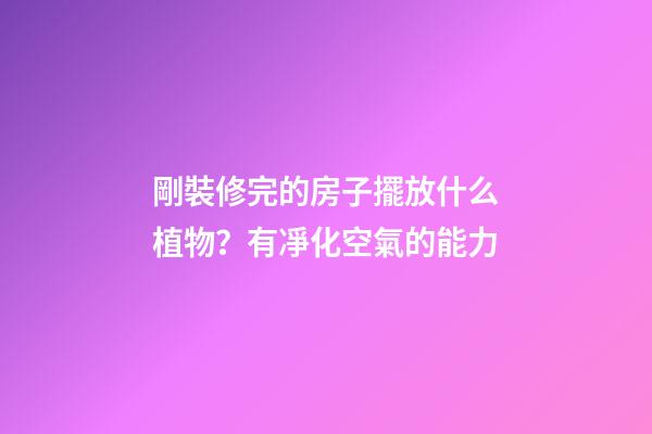 剛裝修完的房子擺放什么植物？有凈化空氣的能力