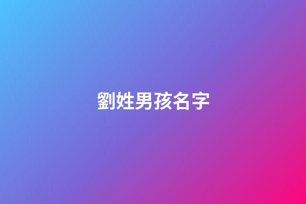 劉姓男孩名字(劉姓男孩名字大全2023屬兔)-第1張-男孩起名-玄機派