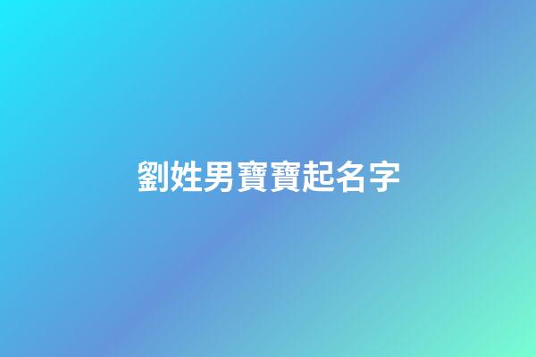 劉姓男寶寶起名字(劉姓男孩兒名字)-第1張-男孩起名-玄機派