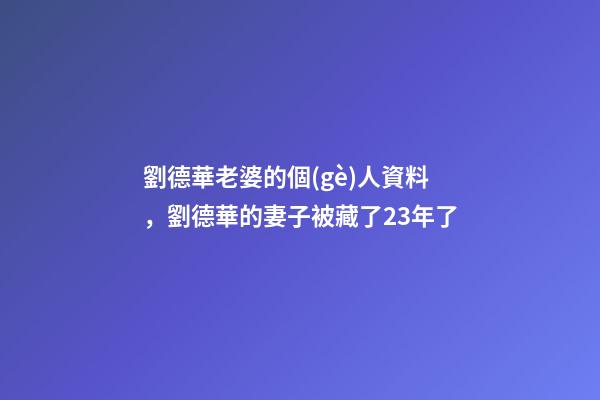 劉德華老婆的個(gè)人資料，劉德華的妻子被藏了23年了-第1張-觀點(diǎn)-玄機(jī)派