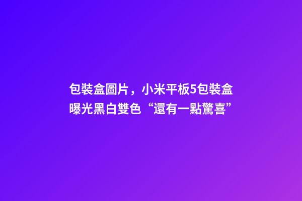 包裝盒圖片，小米平板5包裝盒曝光黑白雙色“還有一點驚喜”-第1張-觀點-玄機派