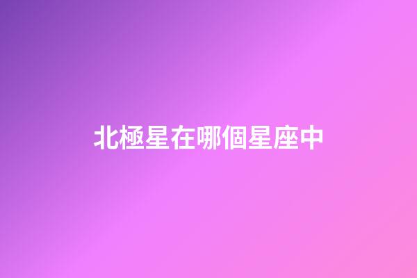 北極星在哪個星座中（北極星旁邊是什么星座）-第1張-星座運勢-玄機派